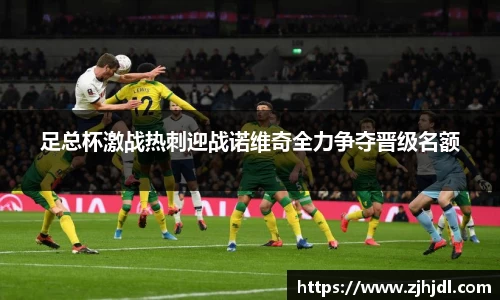 足总杯激战热刺迎战诺维奇全力争夺晋级名额